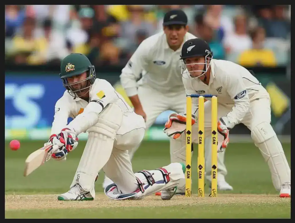 Cricket
